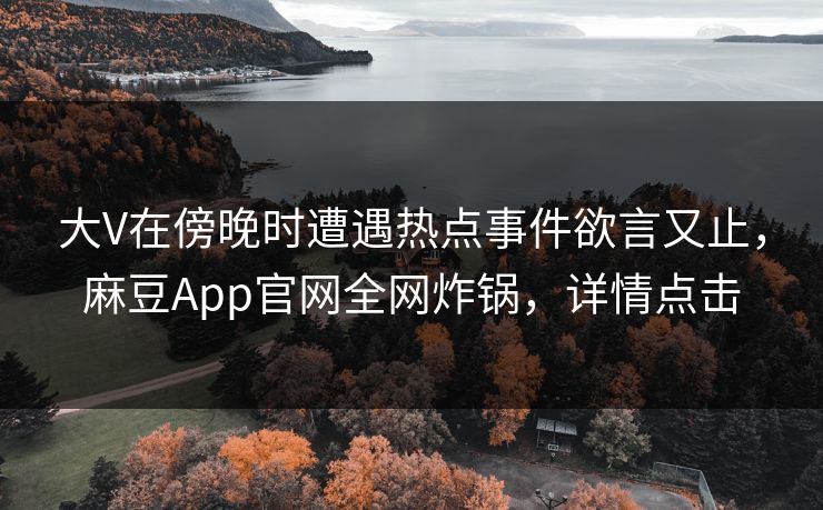 大V在傍晚时遭遇热点事件欲言又止，麻豆App官网全网炸锅，详情点击