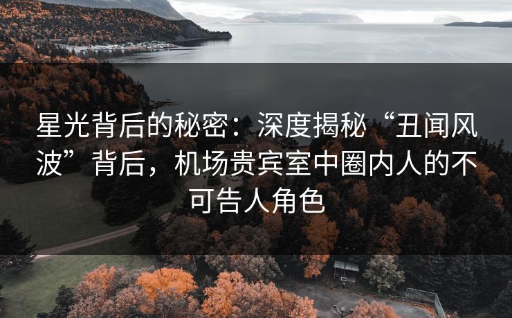 星光背后的秘密：深度揭秘“丑闻风波”背后，机场贵宾室中圈内人的不可告人角色